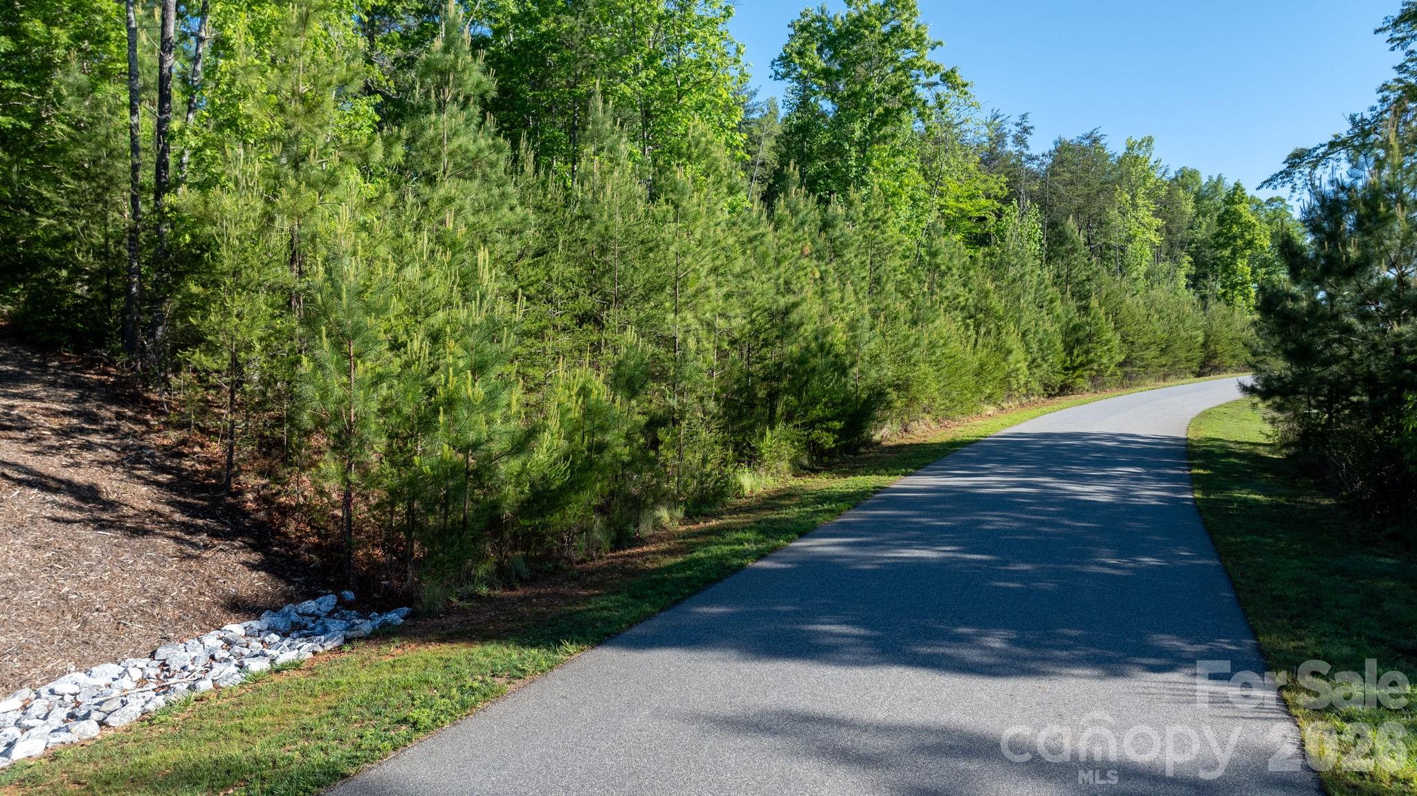 3030 Channel View Cove Morganton, NC 28655 - Photo 5 of 25