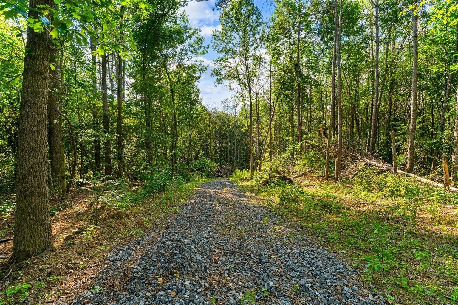 5 Ridge Road Old Fort, TN 37362 - Photo 9 of 13