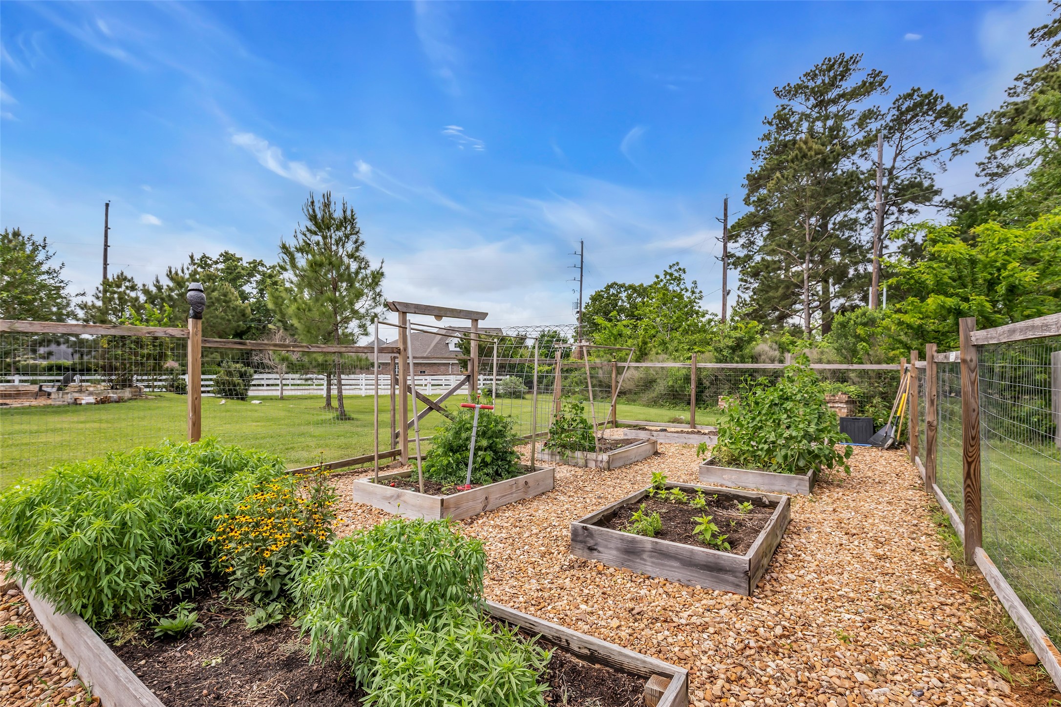 12253 Seagrape Lane Conroe, TX 77304 - Photo 36 of 50
