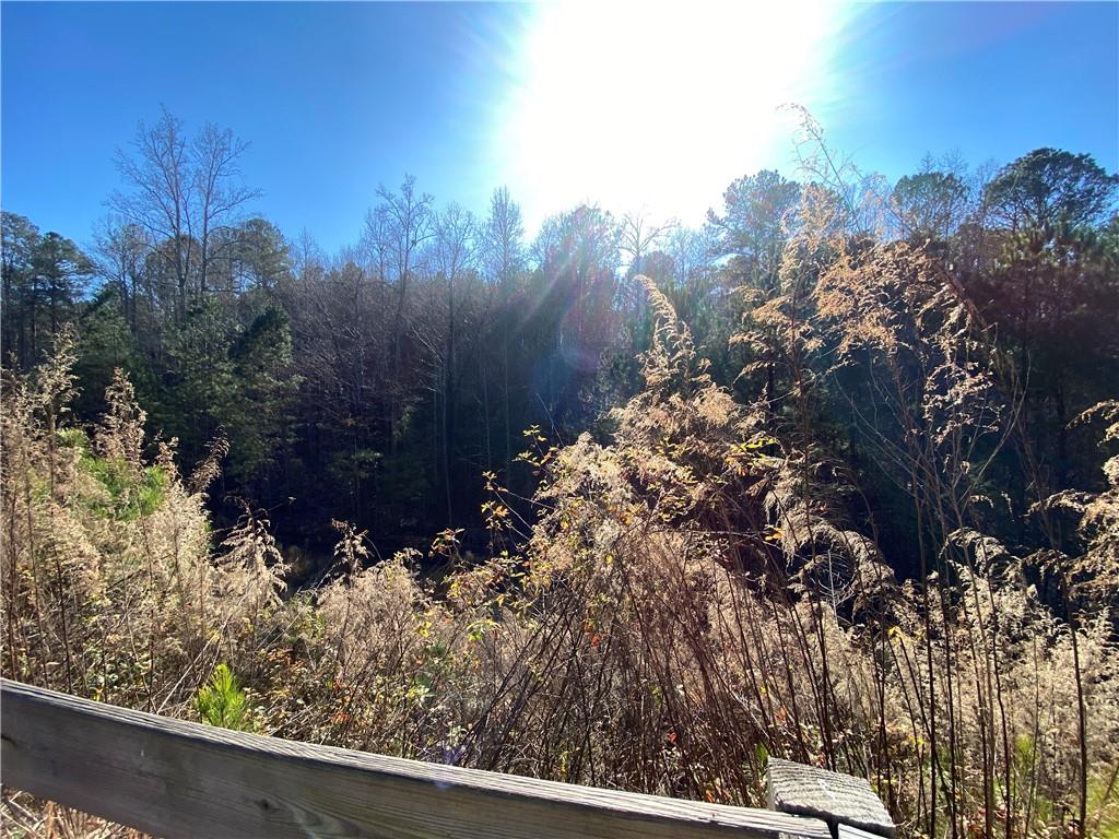 405 Trumpet Circle Canton, GA 30114 - Photo 2 of 10 a view of a garden with plants and trees