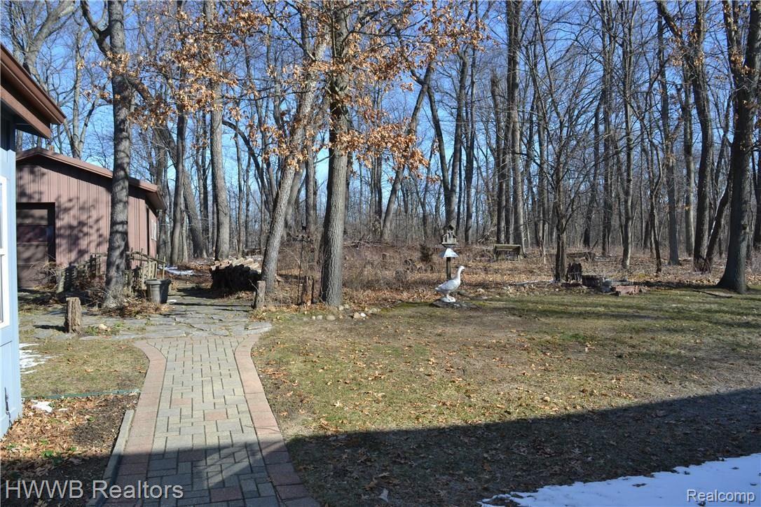 392 Ridgewood Road Rochester, MI 48306 - Photo 39 of 41 39 - Backs to Woods.JPG