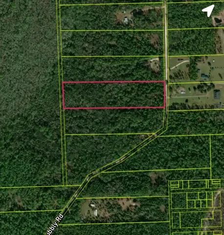 a view of a small yard and potted plants