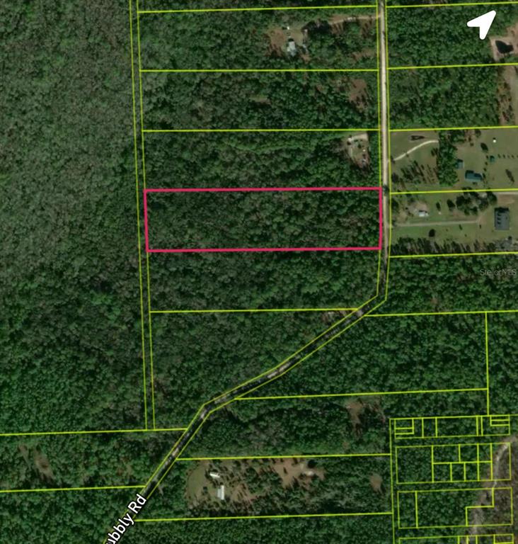 820 Old Bubbly Road Pierson, FL 32180 - Photo 1 of 1 a view of a small yard and potted plants