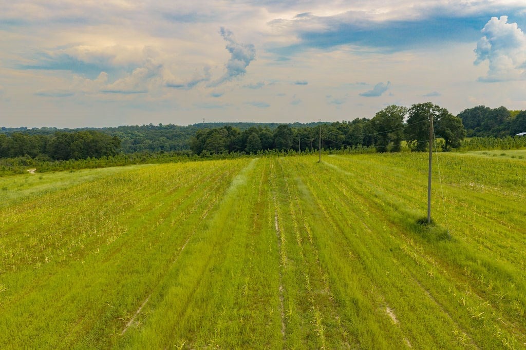 1138 Power Dam Road Newton, AL 36352 - Photo 94 of 111 Gallery Image 94