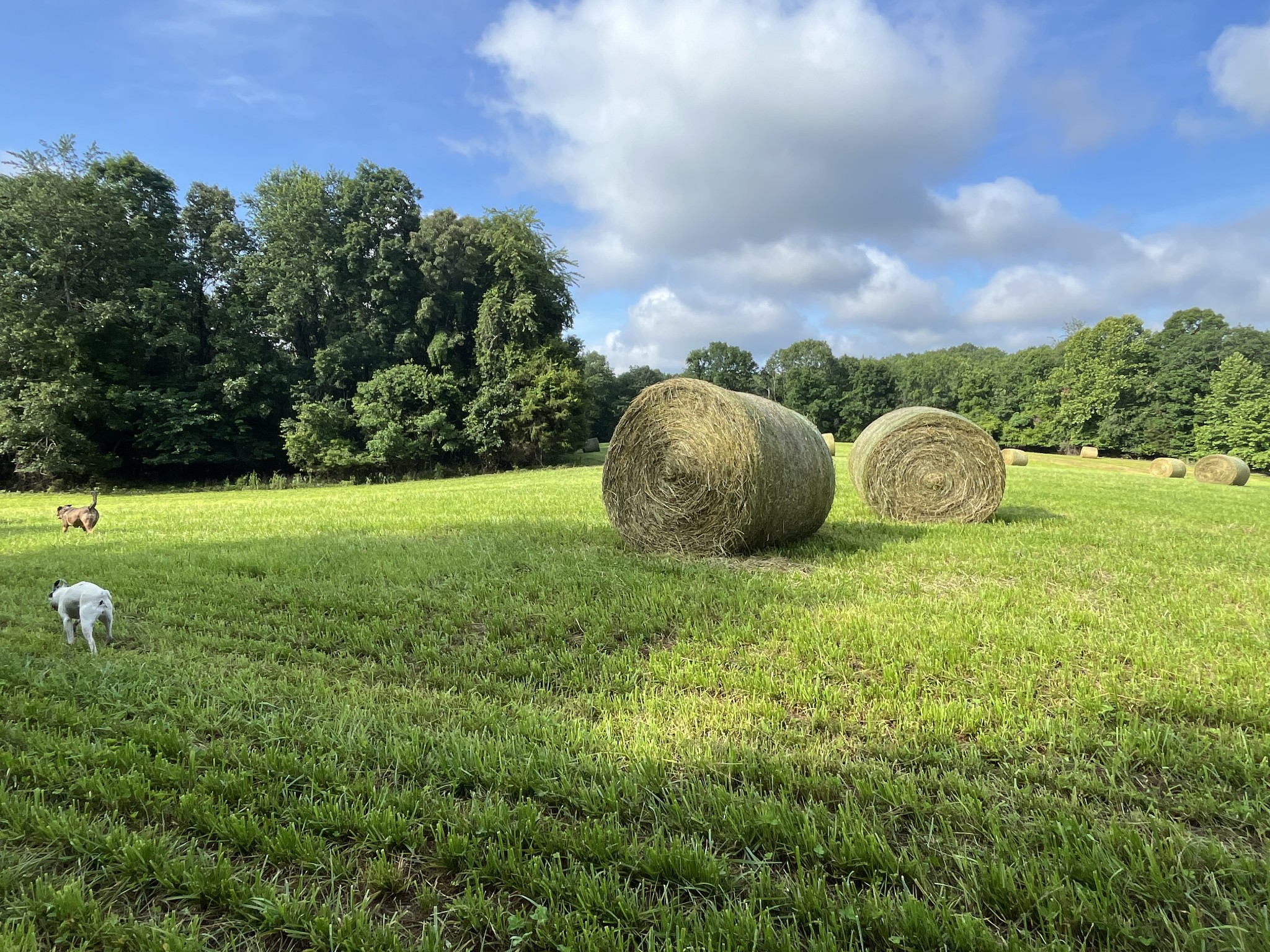 0 Johnson Road Lutts, TN 38471 - Photo 64 of 68 Gallery Image 64