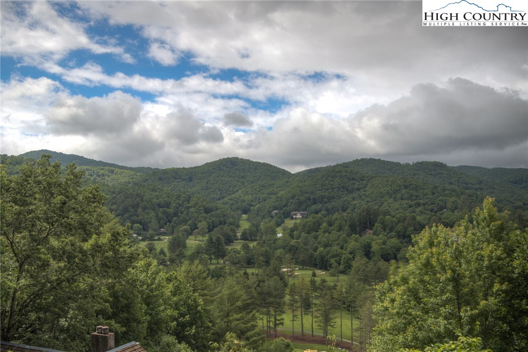 319 Balsam Road Boone, NC 28607 - Photo 6 of 15 Gallery Image 6