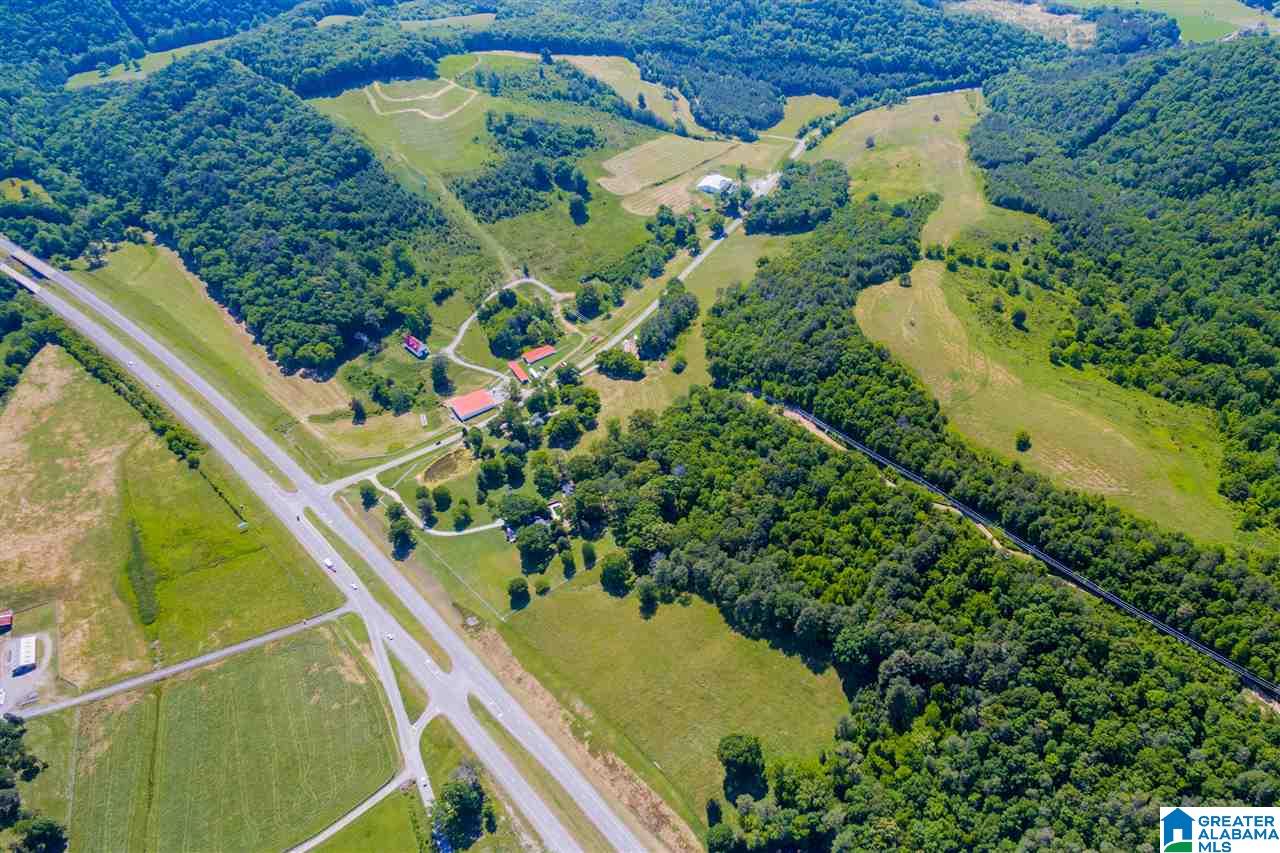 20 County Road 15 Oneonta, AL 35121 - Photo 32 of 41