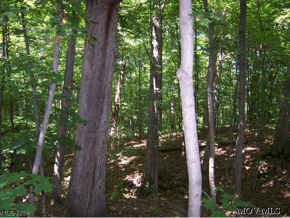 0 Hackathorn Cemetery Road New Matamoras, OH 45767 - Photo 1 of 1 Gallery Image 1