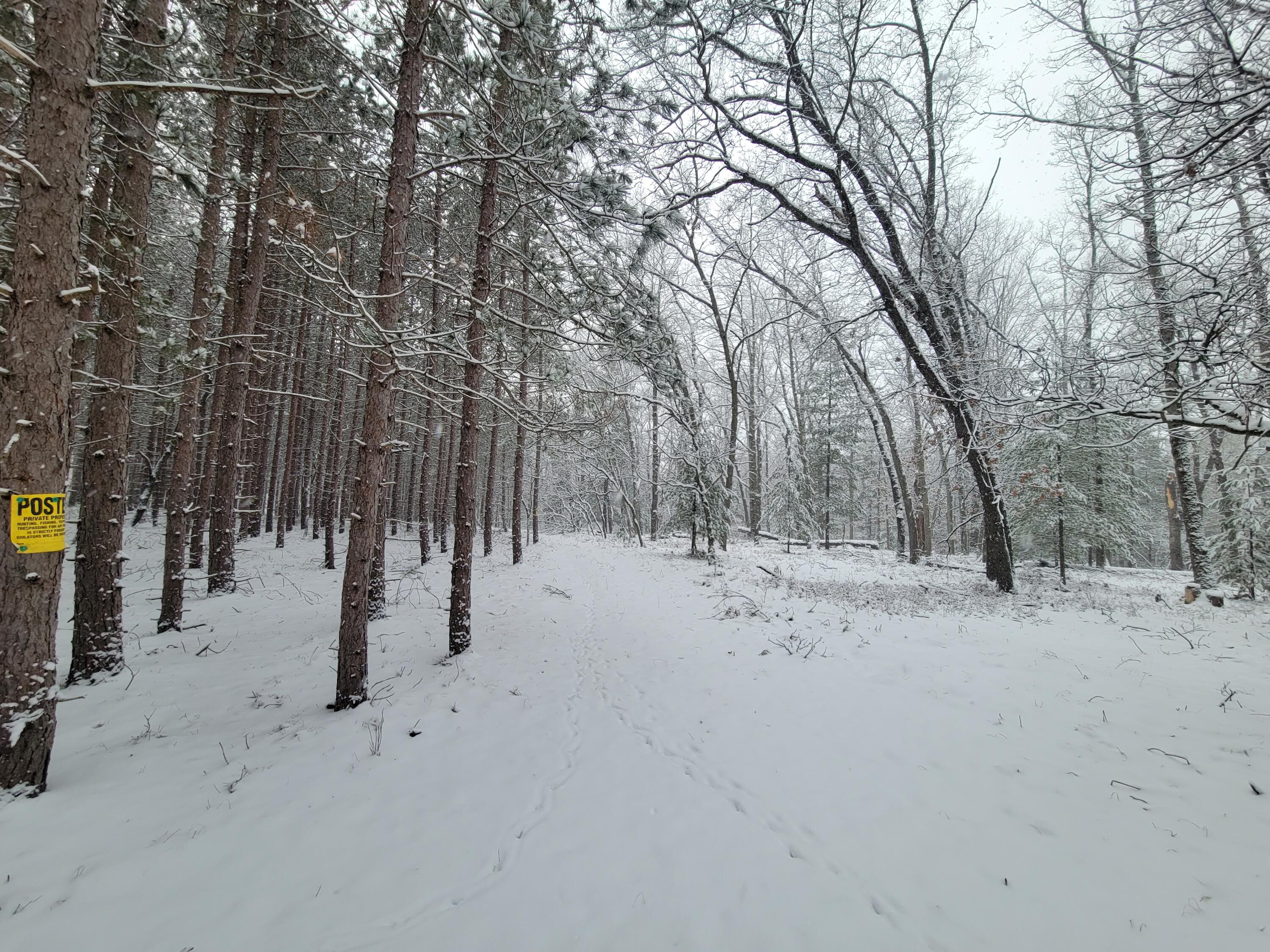 4741 North Mac Road Irons, MI 49644 - Photo 16 of 28 Outdoor lovers dream come true!