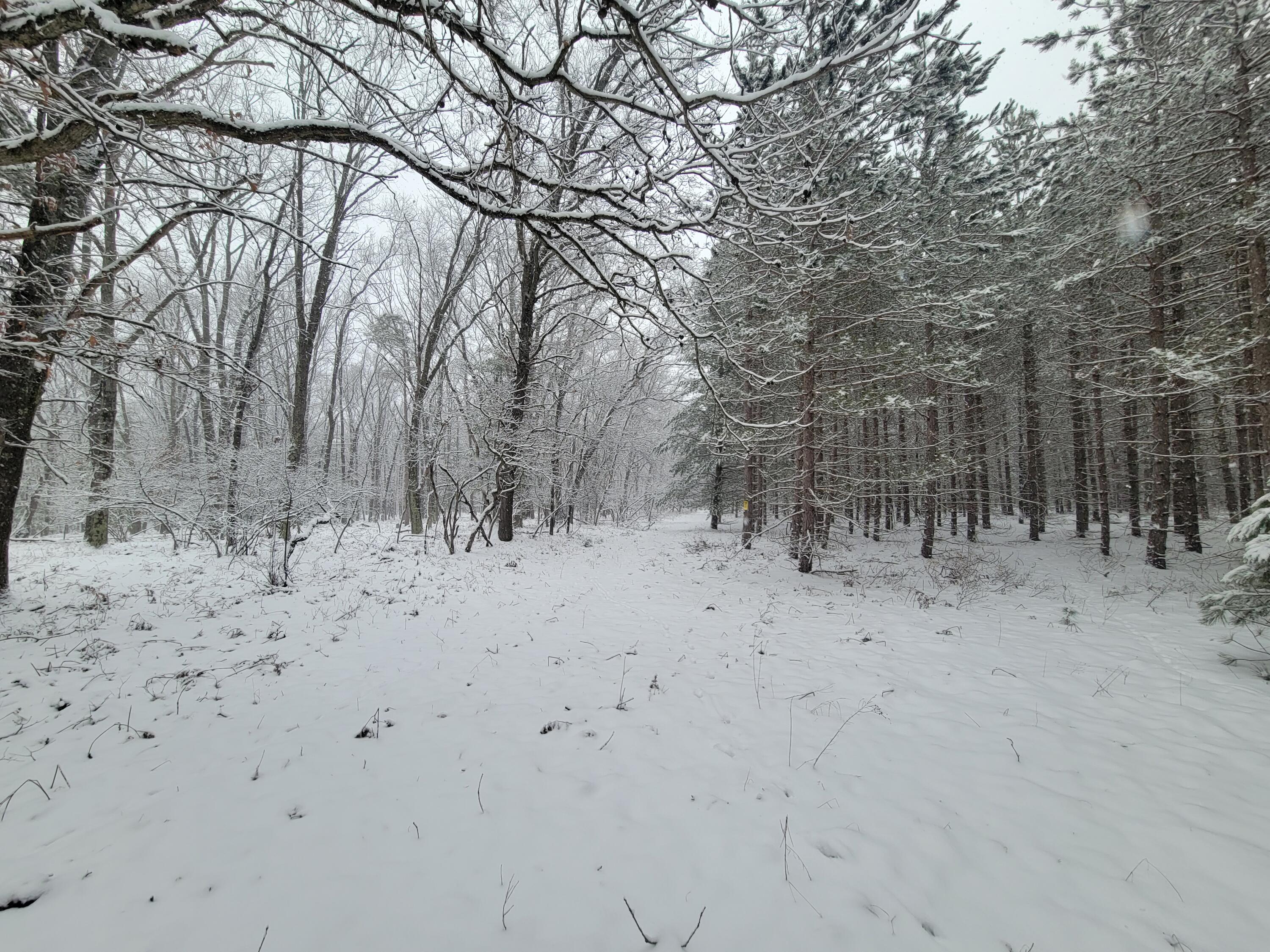 4741 North Mac Road Irons, MI 49644 - Photo 22 of 28 Outdoor lovers dream come true!