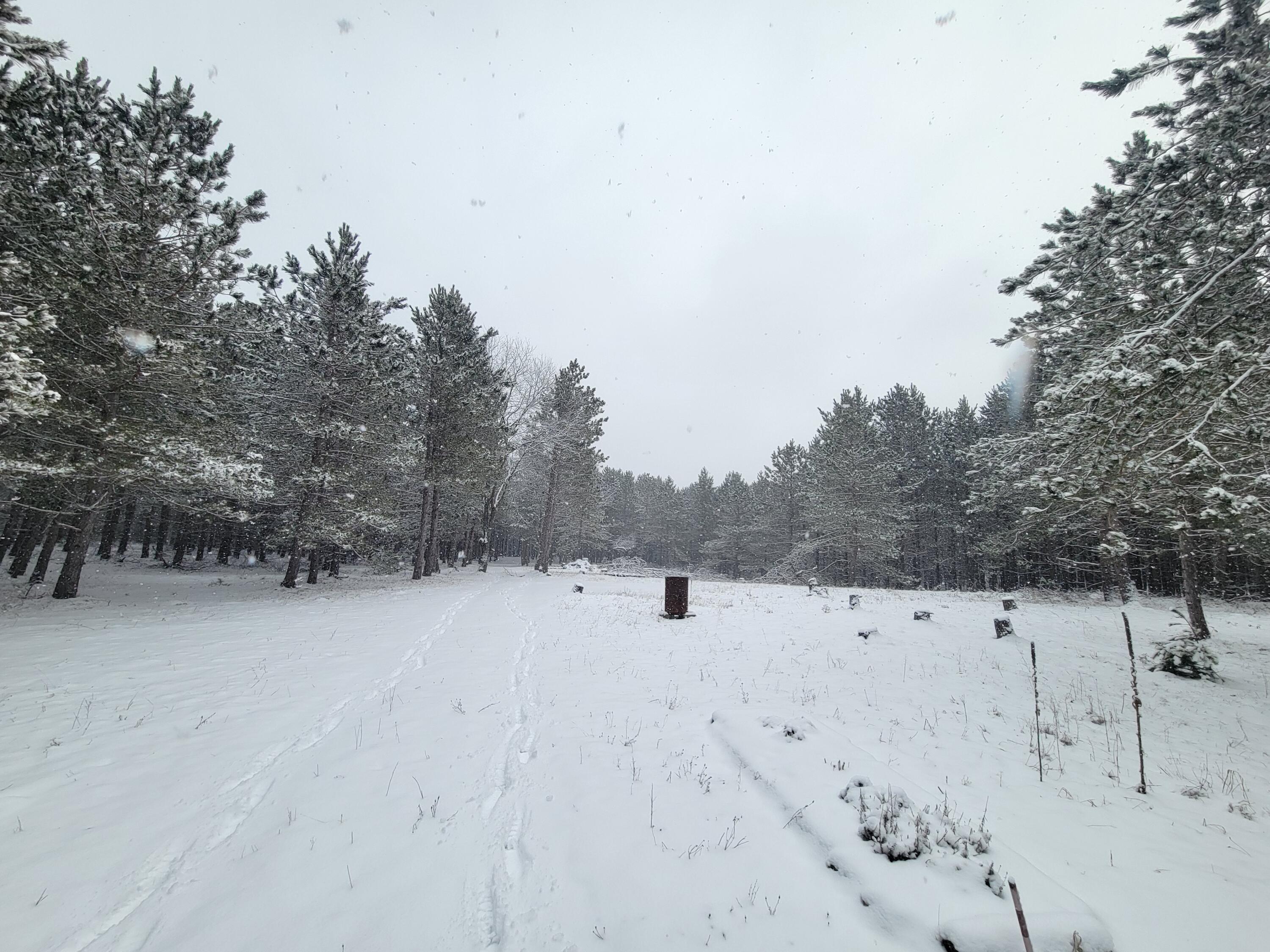 4741 North Mac Road Irons, MI 49644 - Photo 23 of 28 Outdoor lovers dream come true!