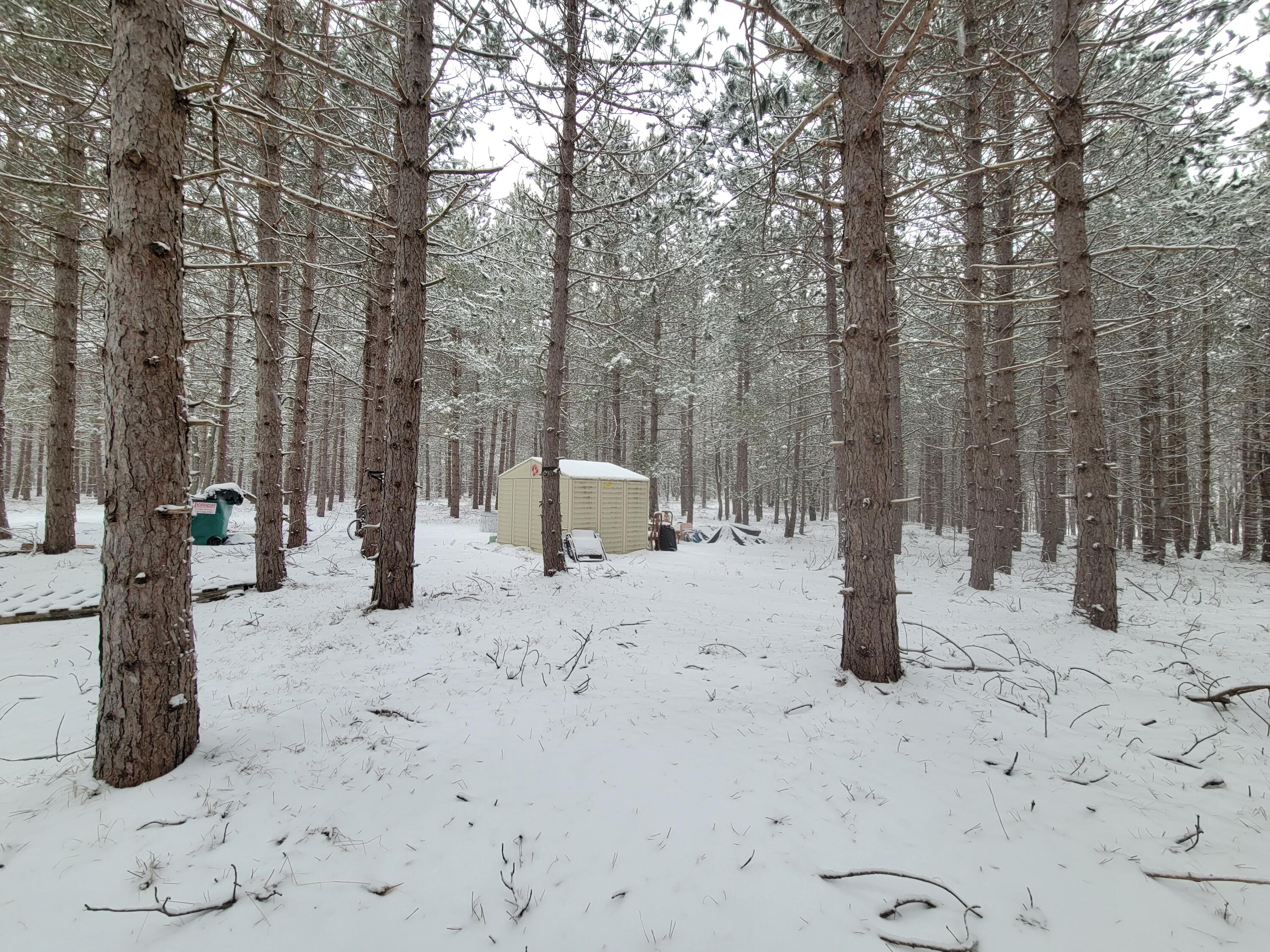 4741 North Mac Road Irons, MI 49644 - Photo 26 of 28 Outdoor lovers dream come true!