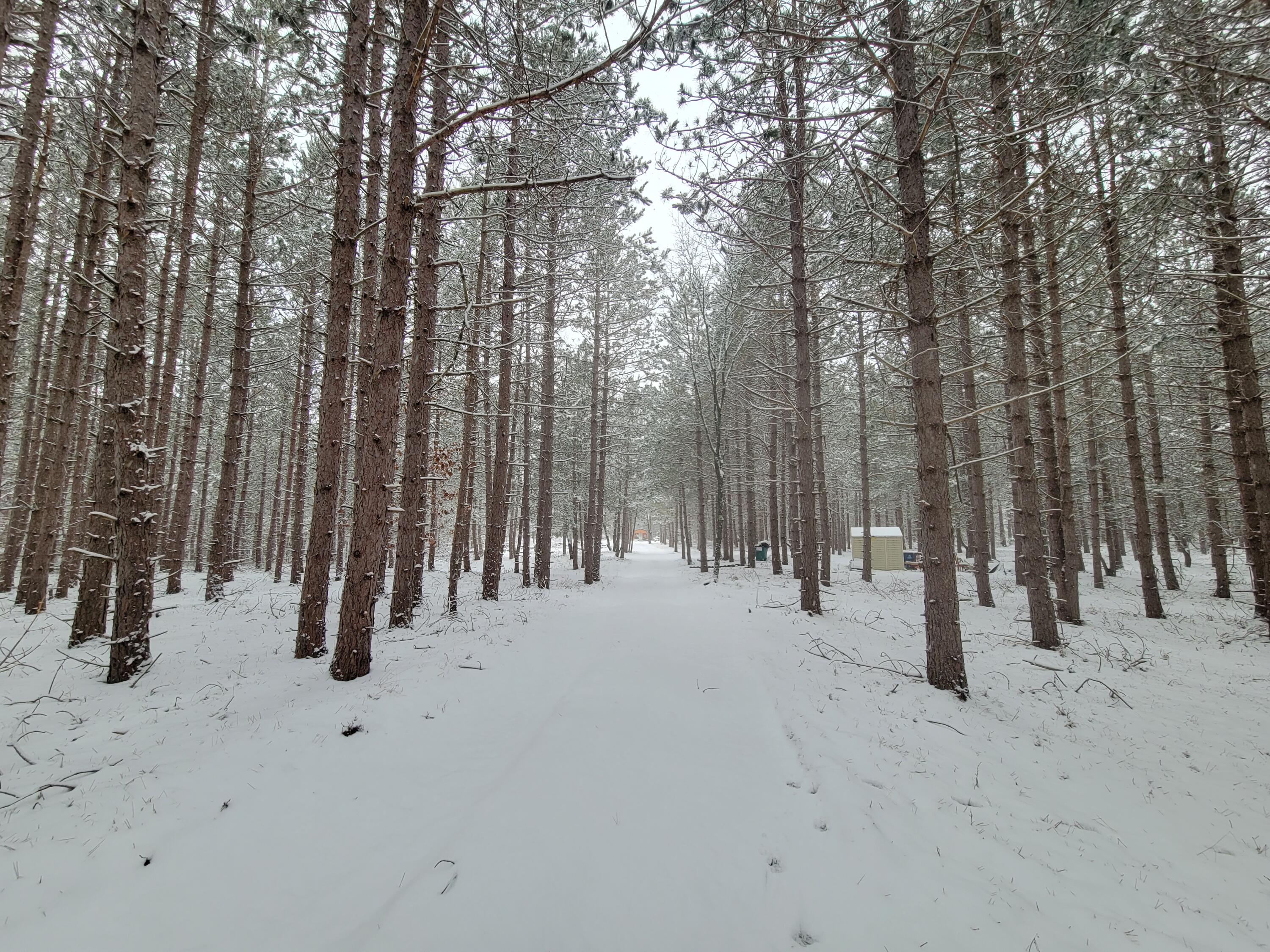 4741 North Mac Road Irons, MI 49644 - Photo 27 of 28 Outdoor lovers dream come true!