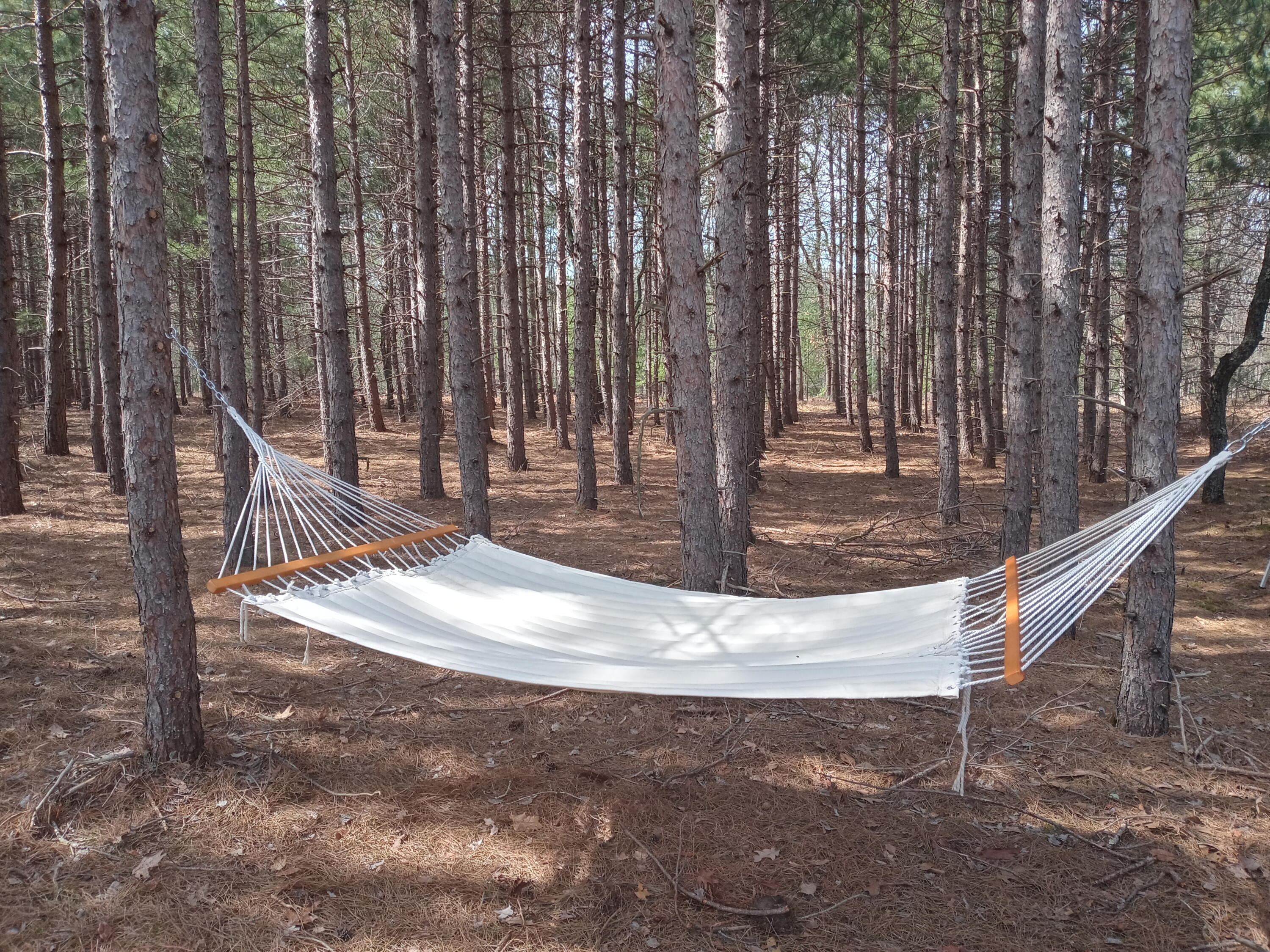 4741 North Mac Road Irons, MI 49644 - Photo 5 of 28 Outdoor lovers dream come true!