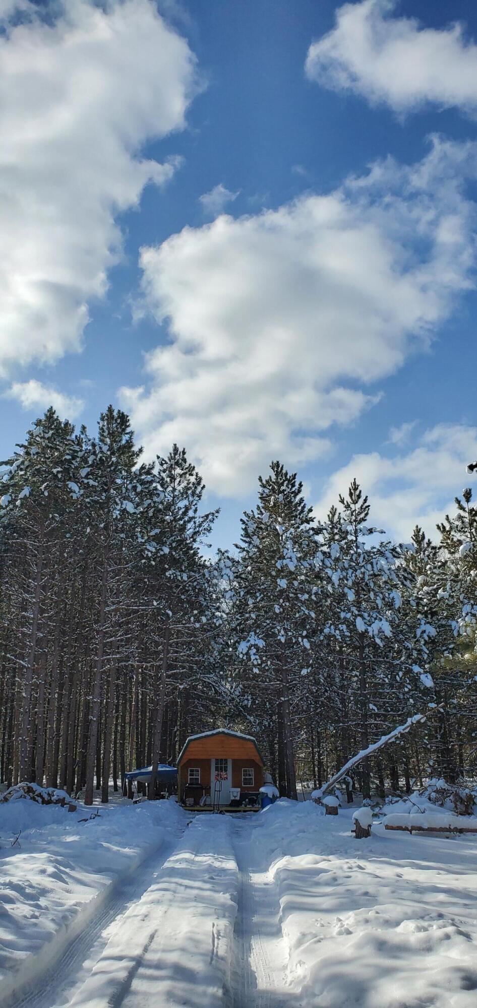 4741 North Mac Road Irons, MI 49644 - Photo 8 of 28 Outdoor lovers dream come true!