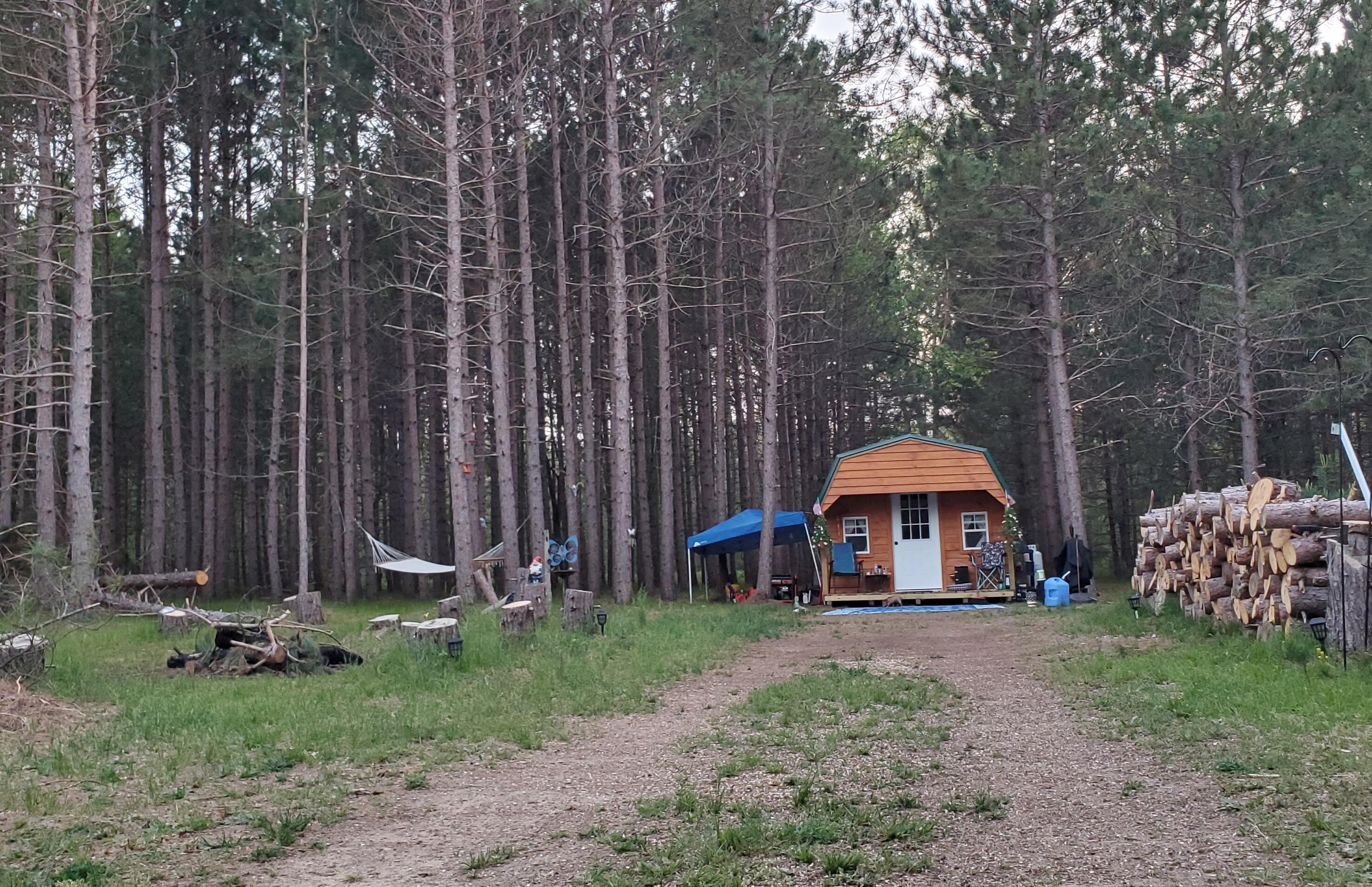 4741 North Mac Road Irons, MI 49644 - Photo 9 of 28 Outdoor lovers dream come true!