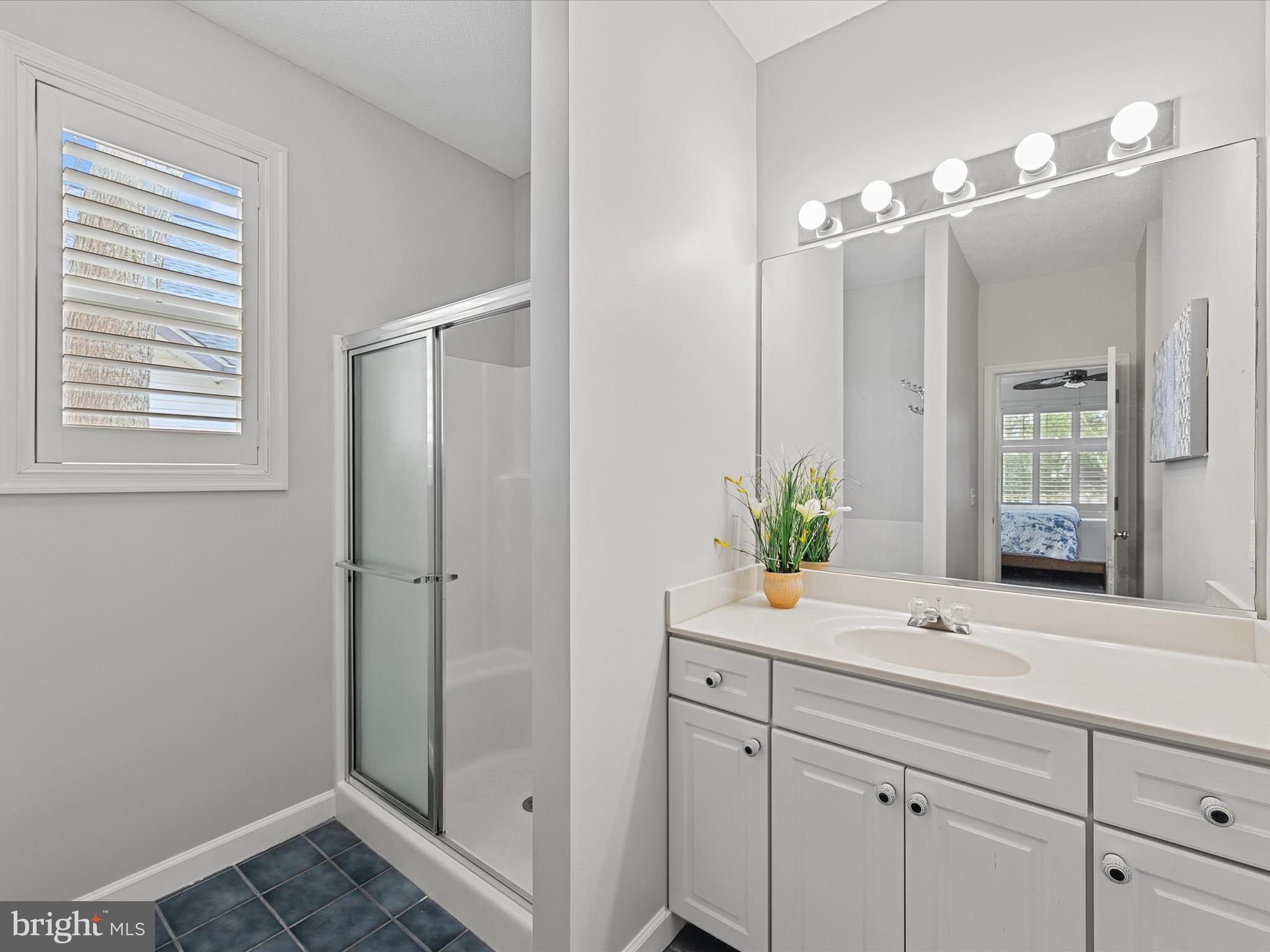 4 Cromwell Drive Ocean View, DE 19970 - Photo 27 of 59 a bathroom with a sink a potted plant and a mirror