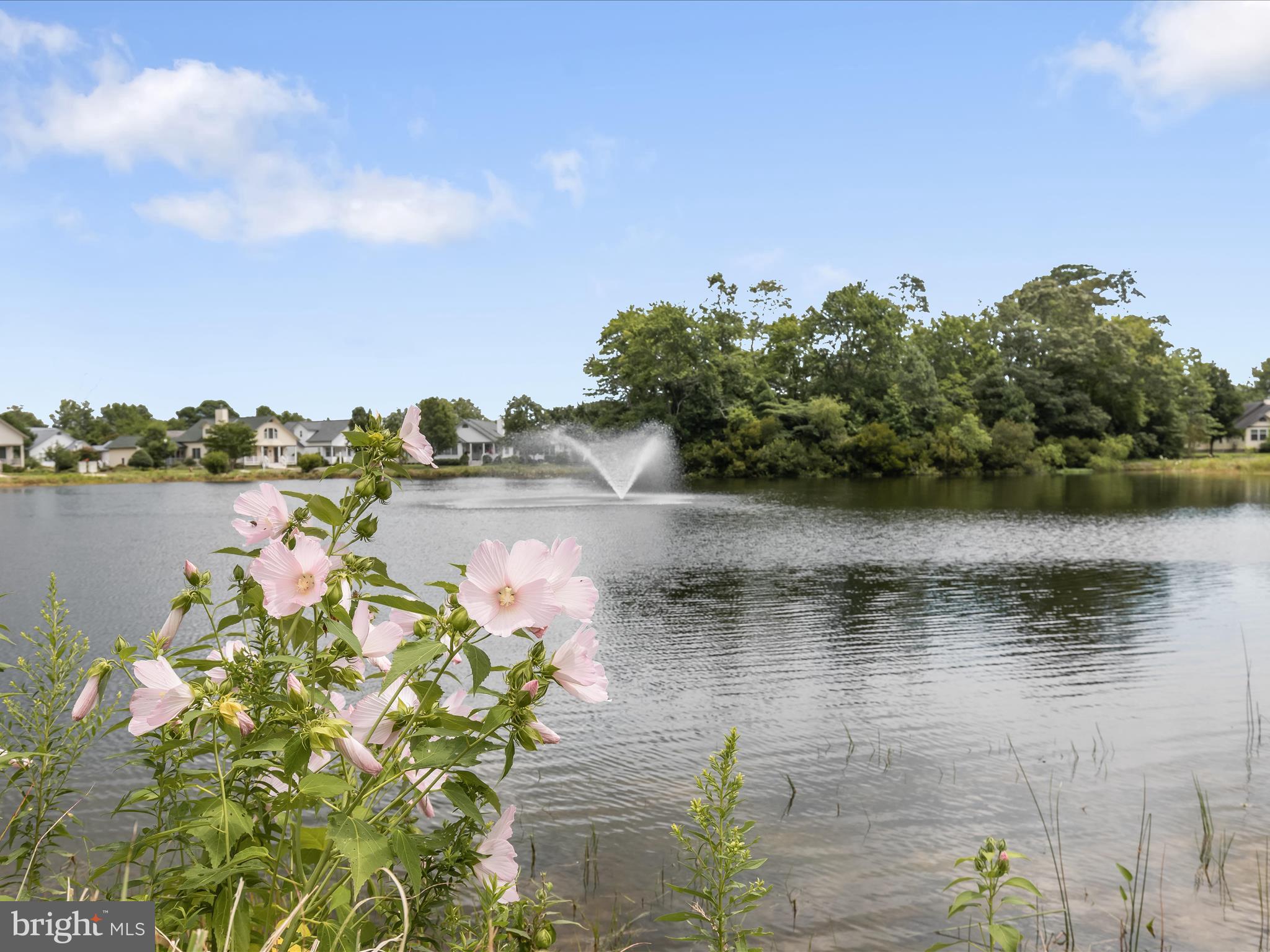 4 Cromwell Drive Ocean View, DE 19970 - Photo 49 of 59 a view of a lake with houses in the back