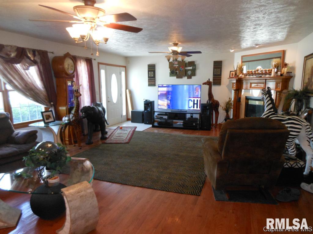 114 East Wilcox Street Springfield, IL 62707 - Photo 3 of 32
