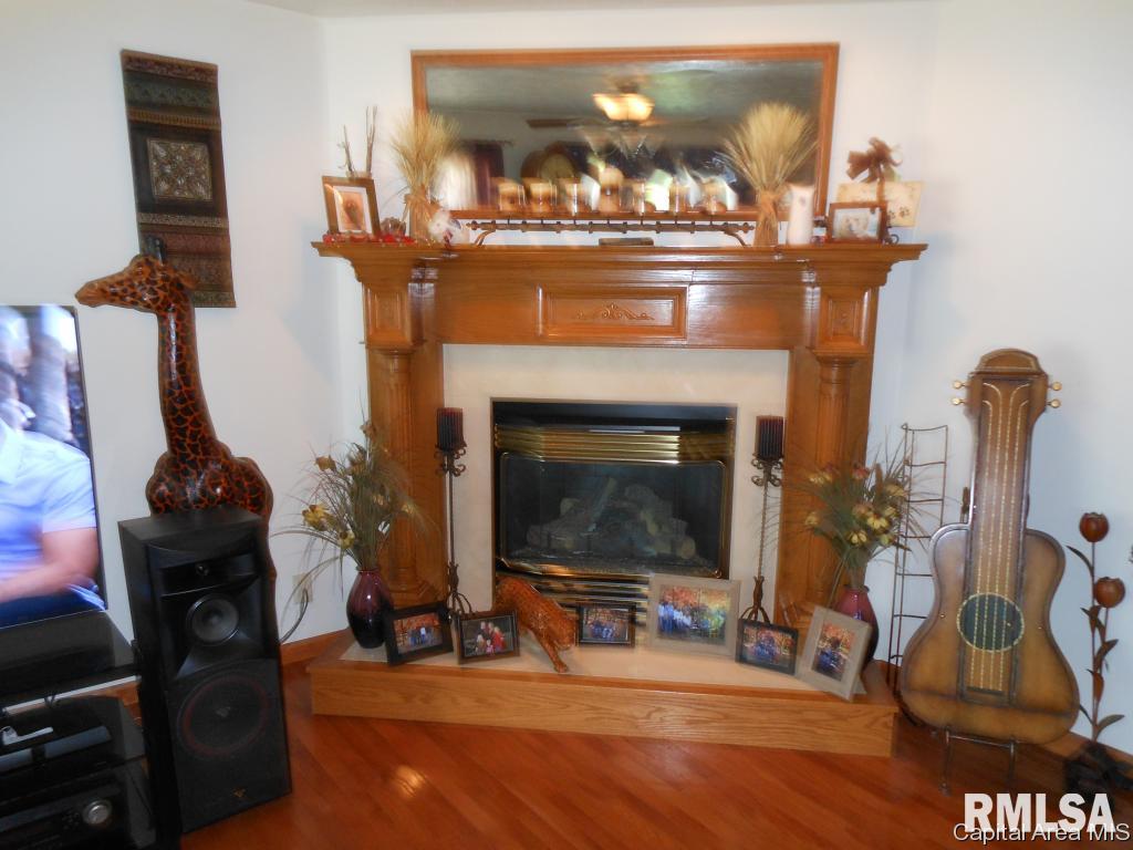 114 East Wilcox Street Springfield, IL 62707 - Photo 5 of 32