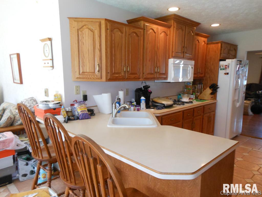 114 East Wilcox Street Springfield, IL 62707 - Photo 8 of 32
