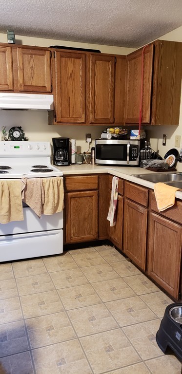 55-57 Victoria Street Springfield, MA 01104 - Photo 4 of 21