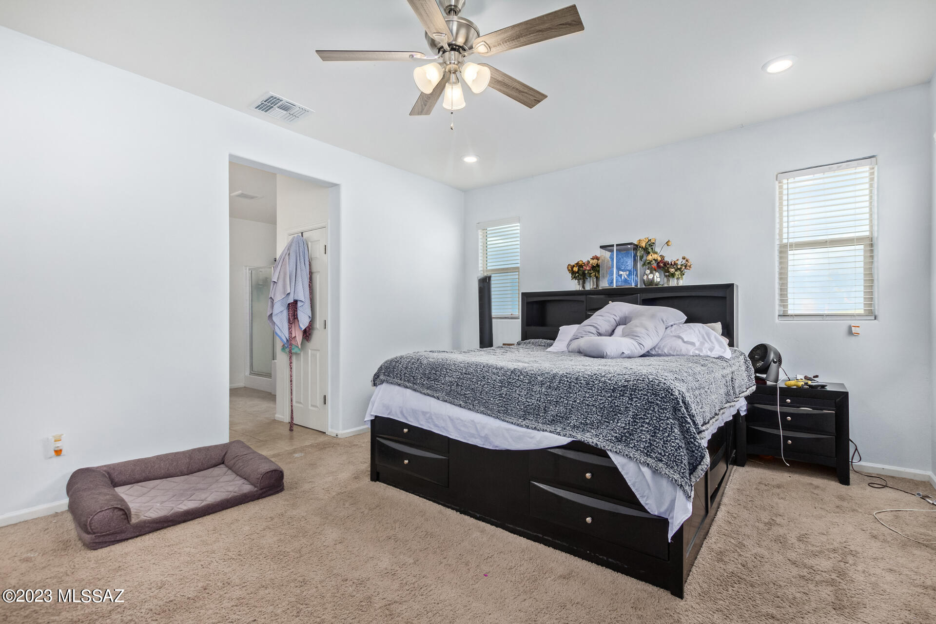 17413 South Ridgerunner Drive Vail, AZ 85641 - Photo 19 of 30