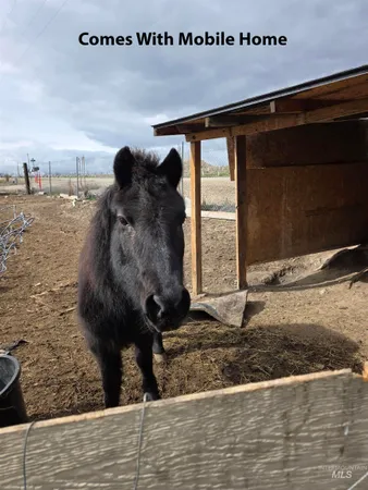 $89,900 | 19151 Symms Road, Caldwell, ID 83607