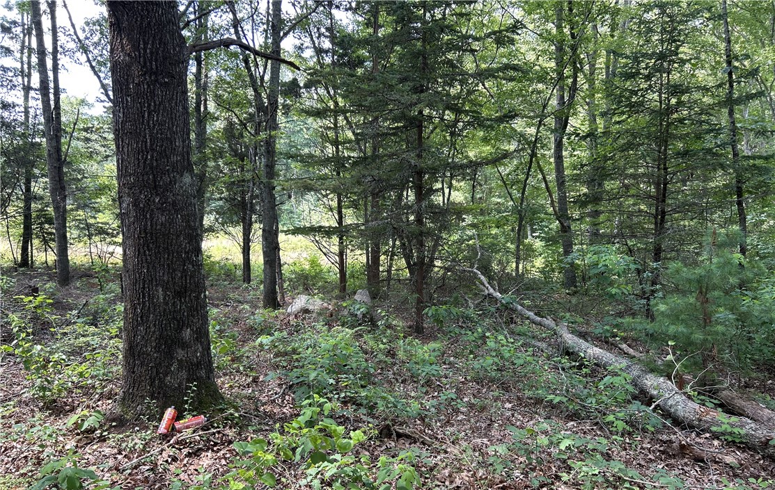 12 Fallon Trail Westerly, RI 02891 - Photo 1 of 5