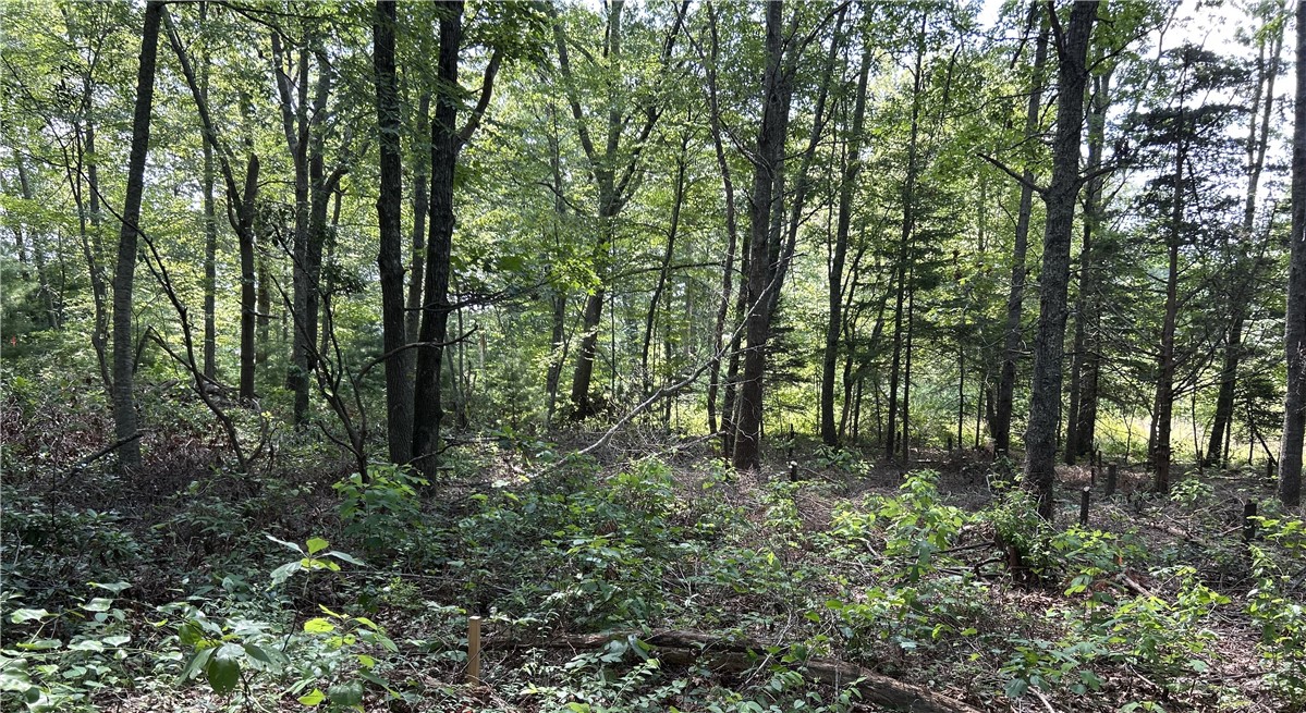 12 Fallon Trail Westerly, RI 02891 - Photo 3 of 5