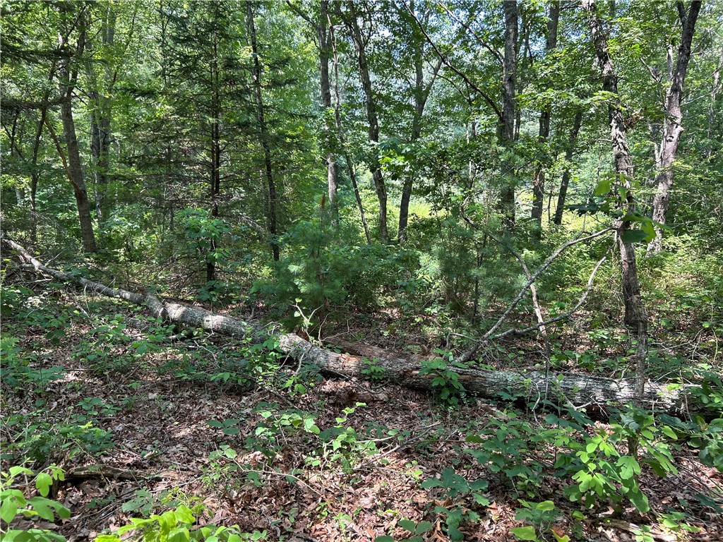 12 Fallon Trail Westerly, RI 02891 - Photo 4 of 5