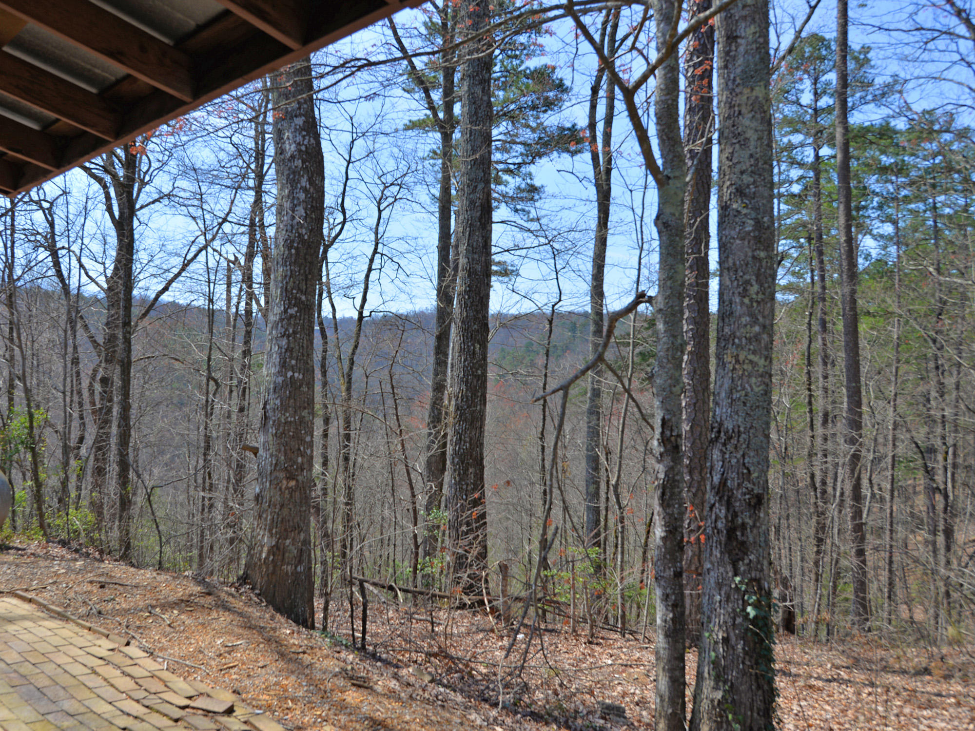 4239 Boogertown Road Sevierville, TN 37876 - Photo 24 of 24 4239 Boogertown