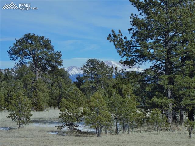 1090 Doe Valley Road Guffey, CO 80820 - Photo 15 of 15 You can even see Pikes Peak when you're in the trees.
