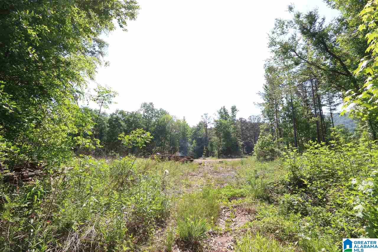 5255 Kelly Creek Road, Unit 37 / AC Odenville, AL 35120 - Photo 16 of 17