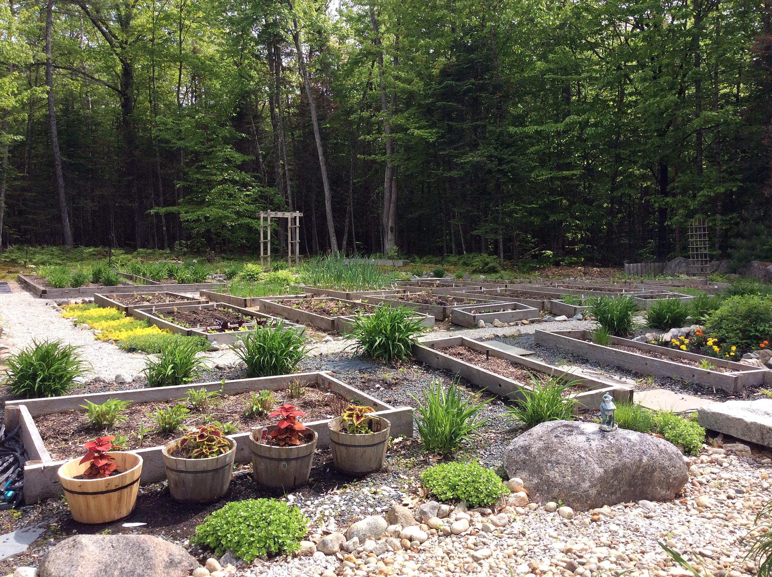 160 Lee Gray Road Harrison, ME 04040 - Photo 28 of 34 IMG_9590