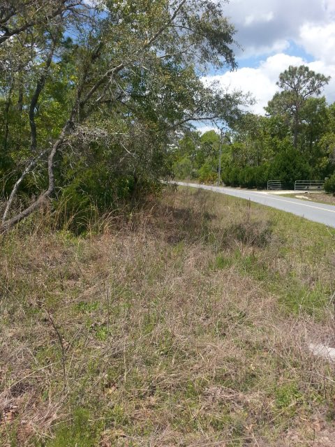 911 Beach Road Perry, FL 32348 - Photo 3 of 13