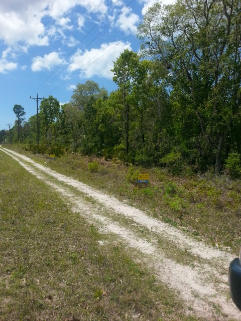 911 Beach Road Perry, FL 32348 - Photo 4 of 13
