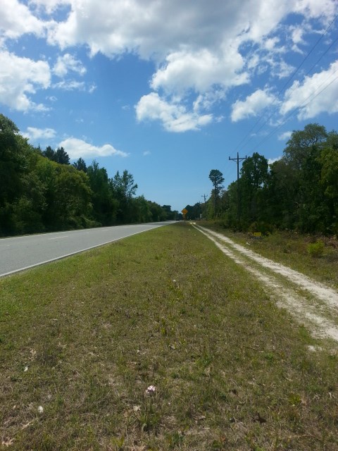 911 Beach Road Perry, FL 32348 - Photo 6 of 13