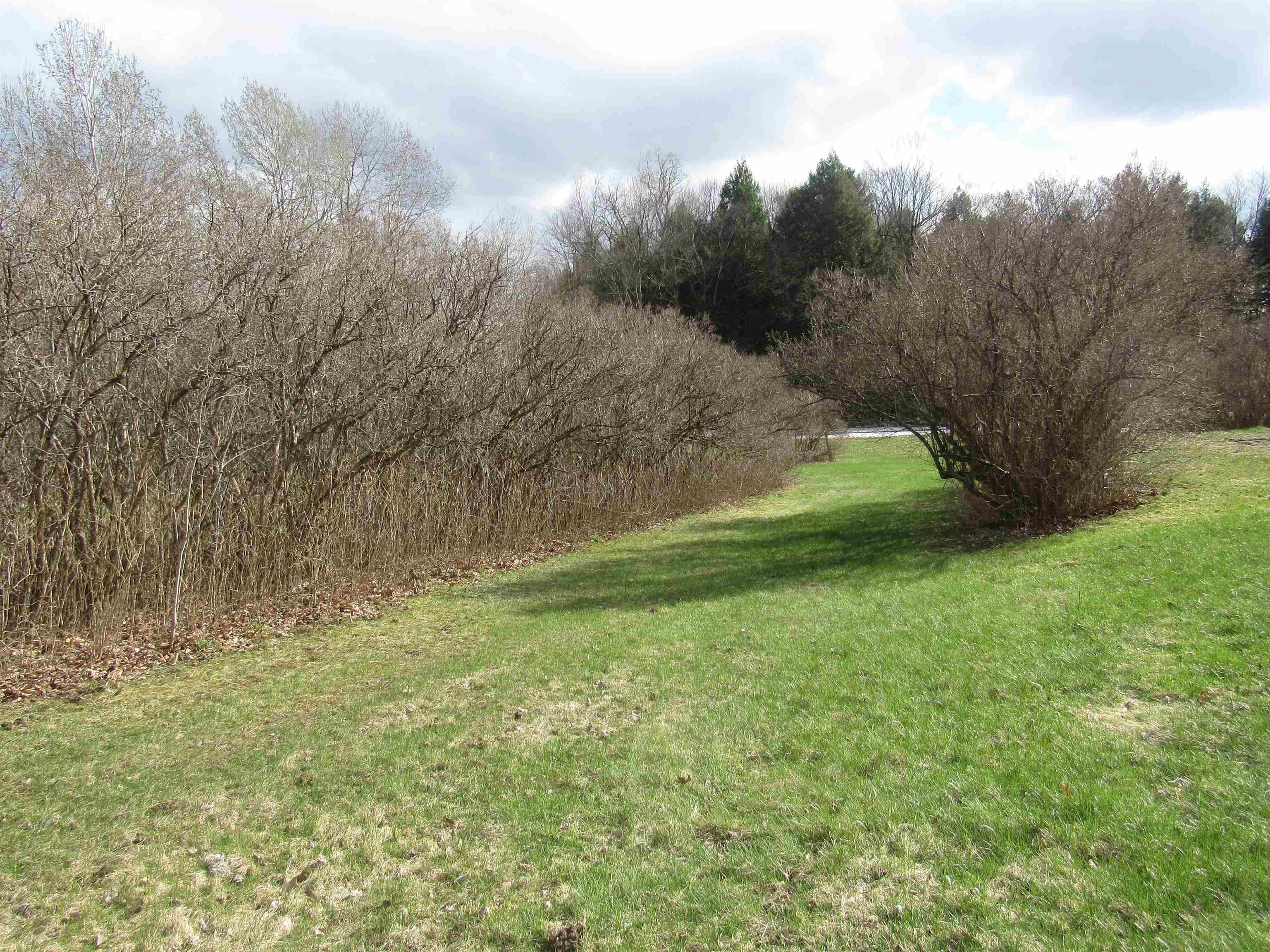 701 Bluff Road Newport, VT 05855 - Photo 4 of 51 Gallery Image 4