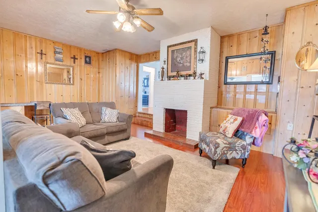 a living room with furniture flower pot and a fireplace