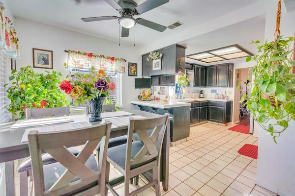 a view of a dining room with furniture and a potted plant