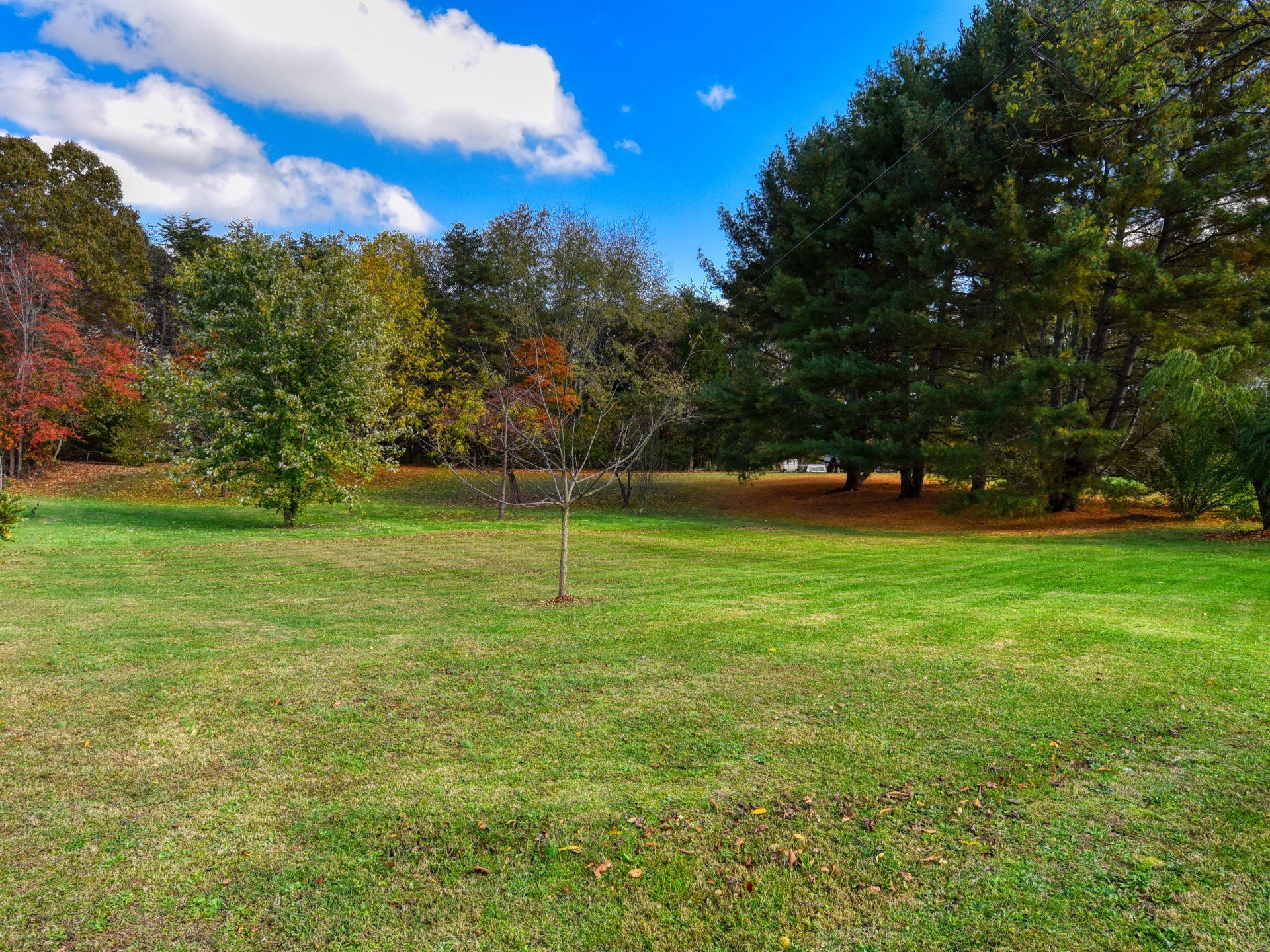 374 Morgan Road Rutledge, TN 37861 - Photo 9 of 16 374 Morgan