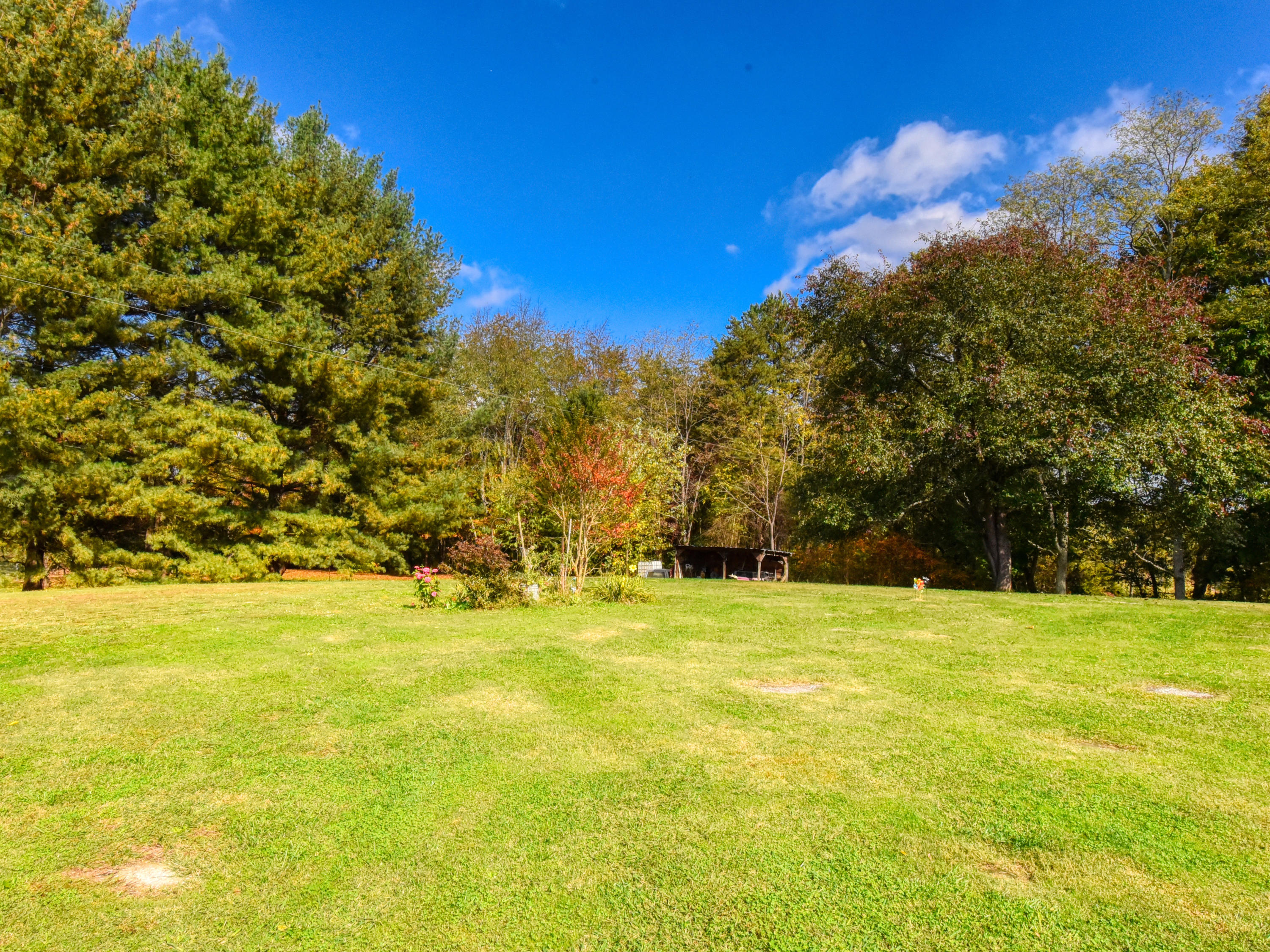 374 Morgan Road Rutledge, TN 37861 - Photo 10 of 16 374 Morgan