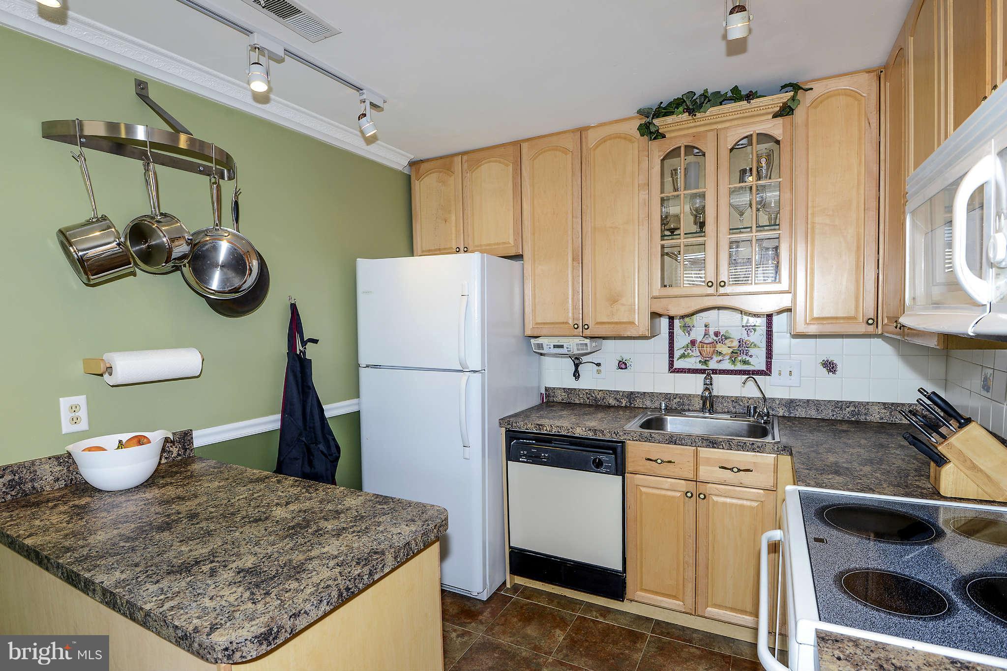 5518 Vantage Point Road Columbia, MD 21044 - Photo 4 of 17 Kitchen