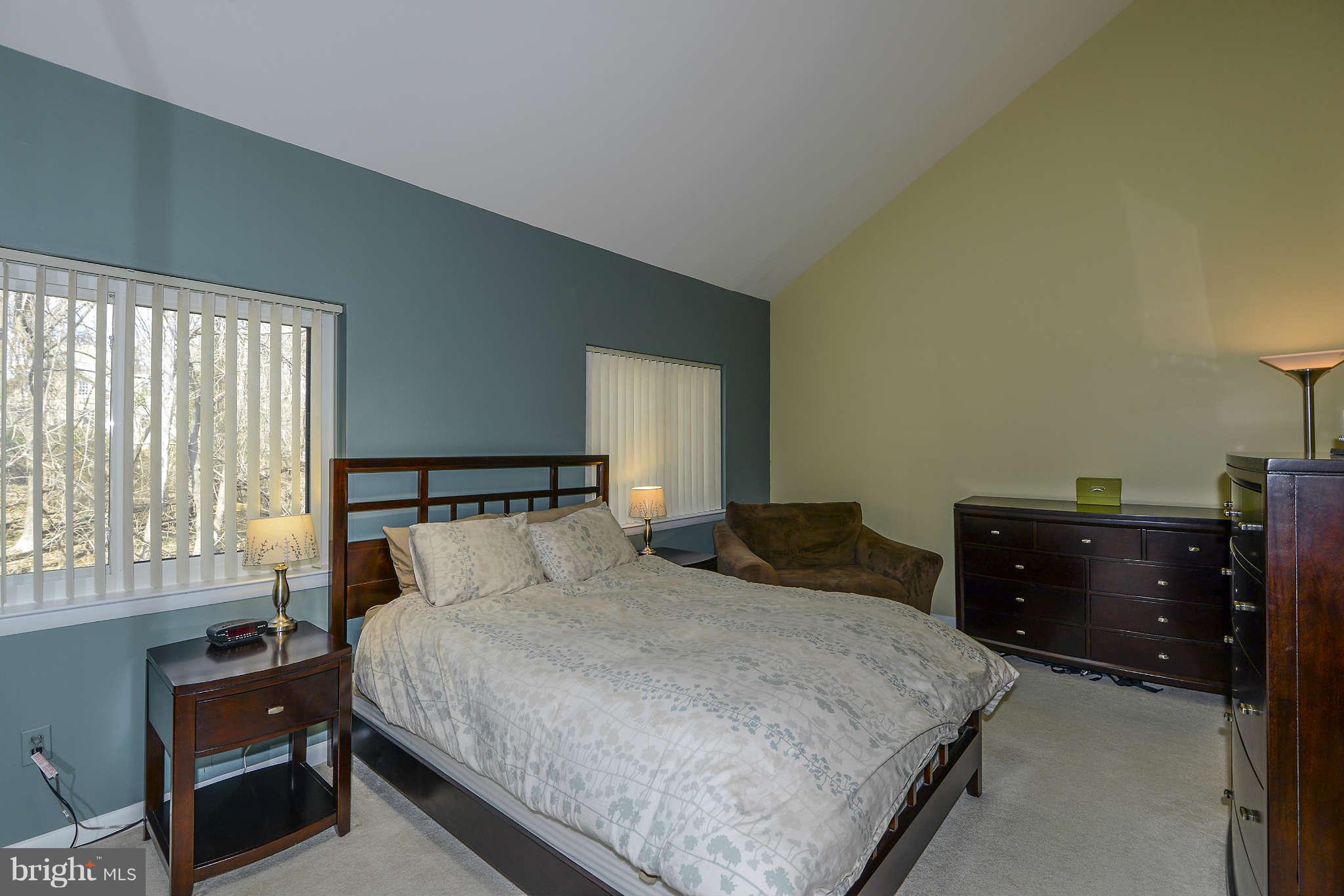 5518 Vantage Point Road Columbia, MD 21044 - Photo 10 of 17 Bedroom (Master)