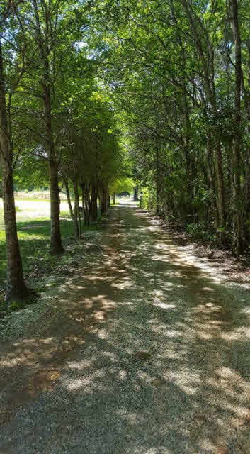 805 Brady Rd Extension Bay Minette, AL 36507 - Photo 13 of 20 Driveway