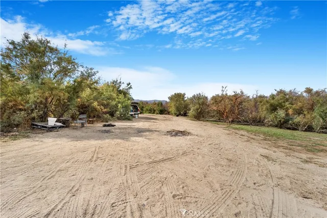 a view of a dry yard with a tree