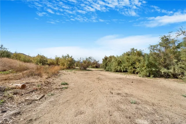 a view of a bunch of trees in a field