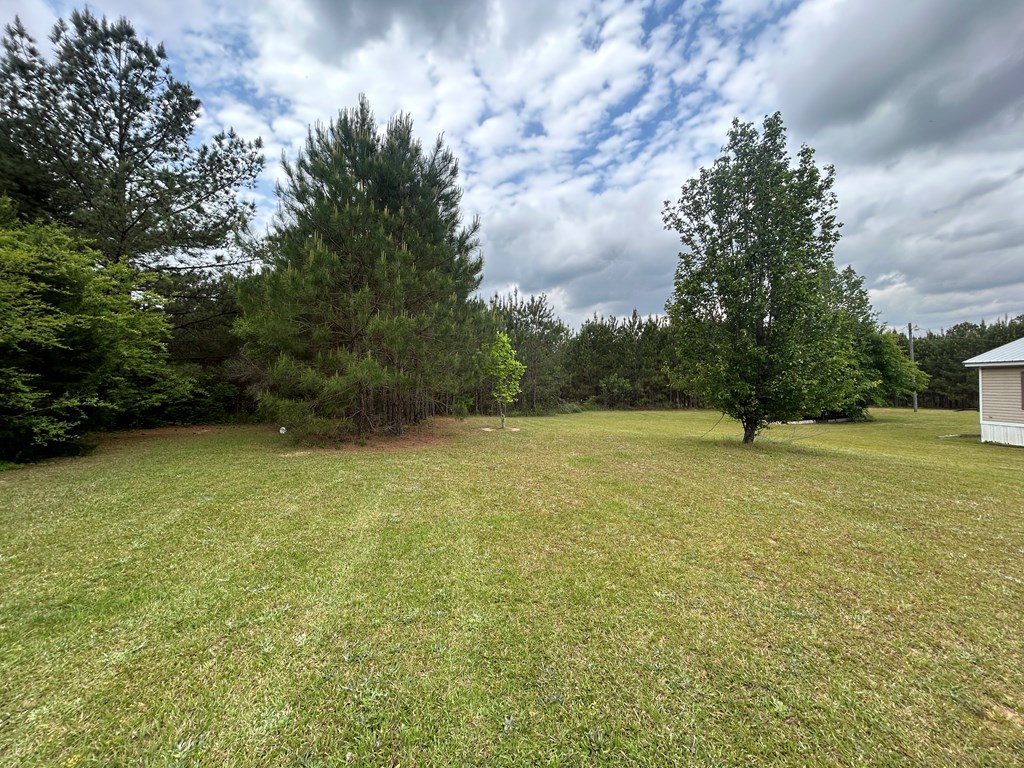 446 Knowles Drive Webb, AL 36376 - Photo 3 of 22