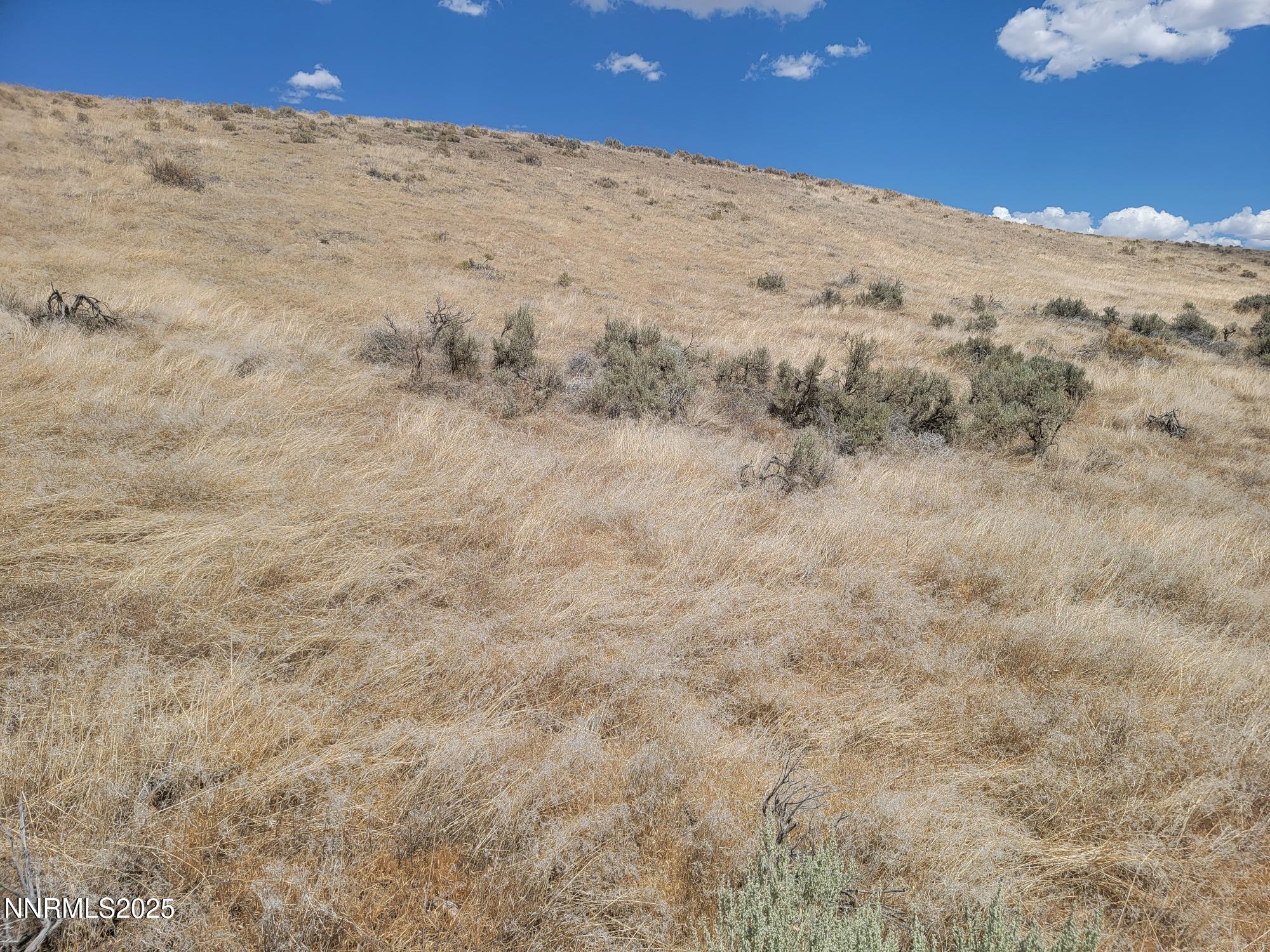 0 Dun Glen Canyon Road Imlay, NV 89418 - Photo 8 of 22 25